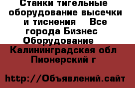 Станки тигельные (оборудование высечки и тиснения) - Все города Бизнес » Оборудование   . Калининградская обл.,Пионерский г.